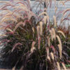 Rozplenica Rubrum
