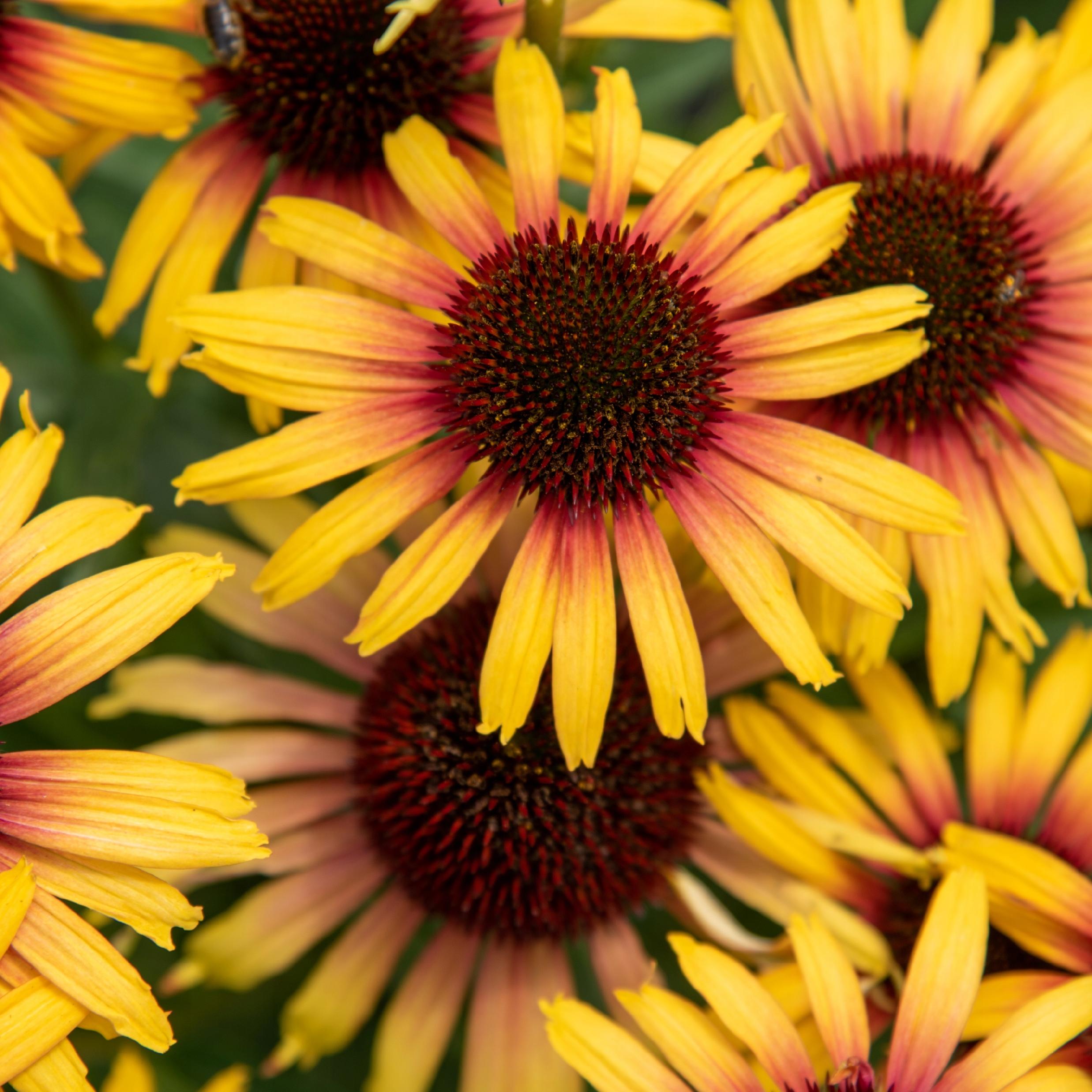1005d2ee0b05163da8ffebcdb7376deb.jpg