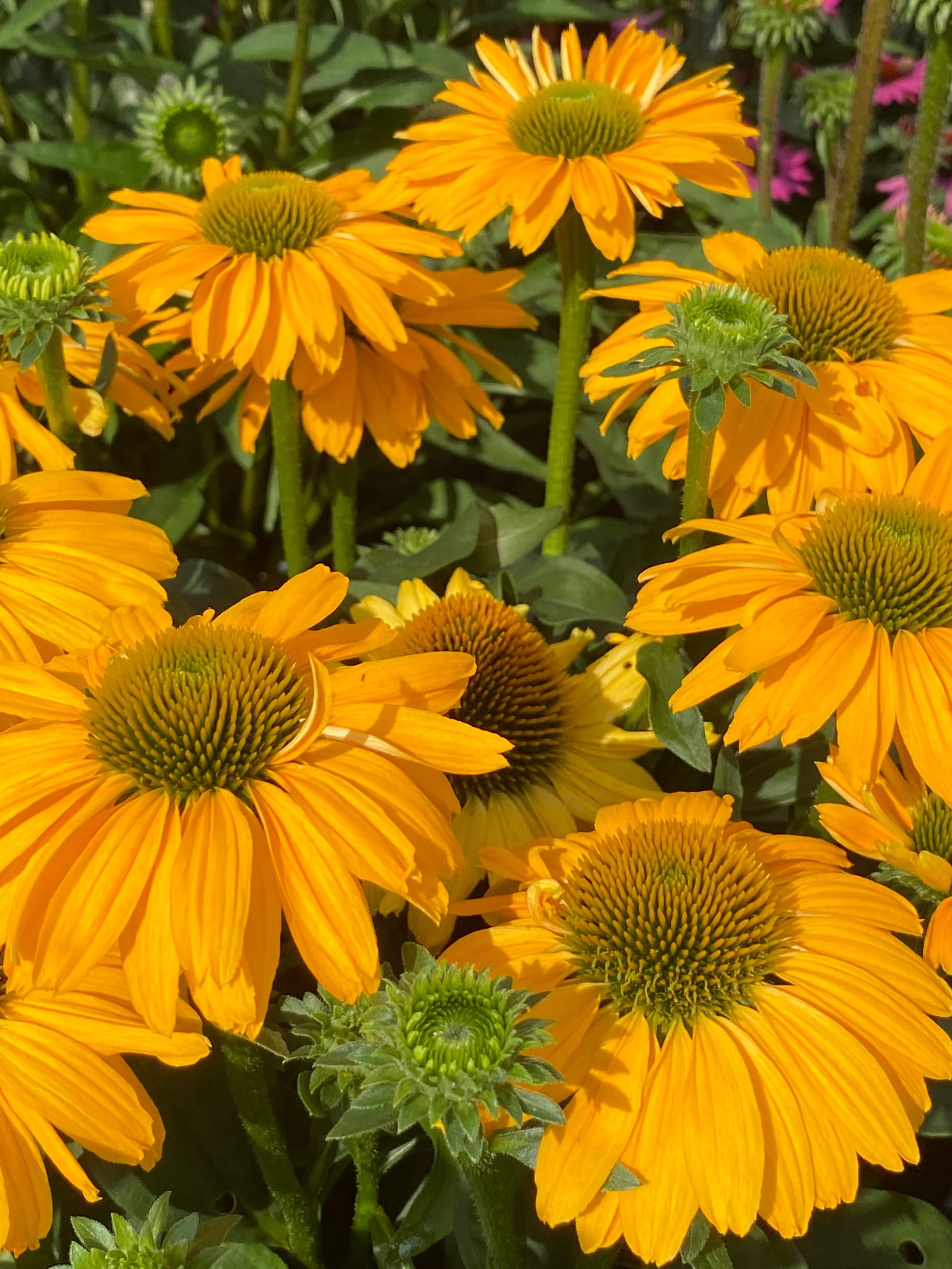294f234923966e32899d185f576a612d.jpg