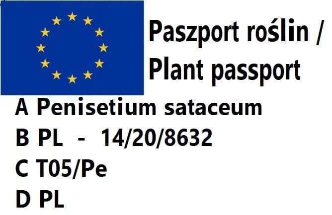 ec6779aa5ab7d8074867a1326a308664.jpg