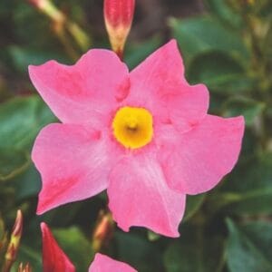 ac21ccf810ae8c1877bbda26e84a942d