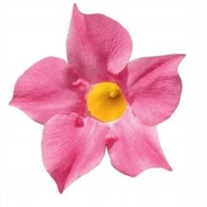 9aaa4a9bbafc833e981ea4b59bd8ae2b