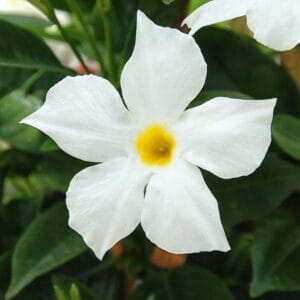 6c57db0a29b21875dddde55ce6c1322d