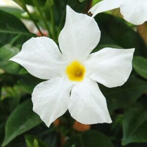 1672fc0f97a24f636018eaa28b7b40c3