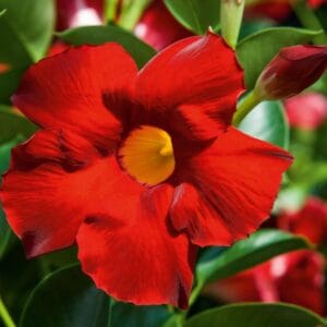 0861b0a3e55c6a0c808c2ce4c561ff3a