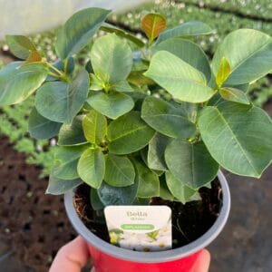 efa345b7625a034837f82343bd01570c