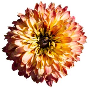 2cf46eae0555f2832fbdeeac000f1f94
