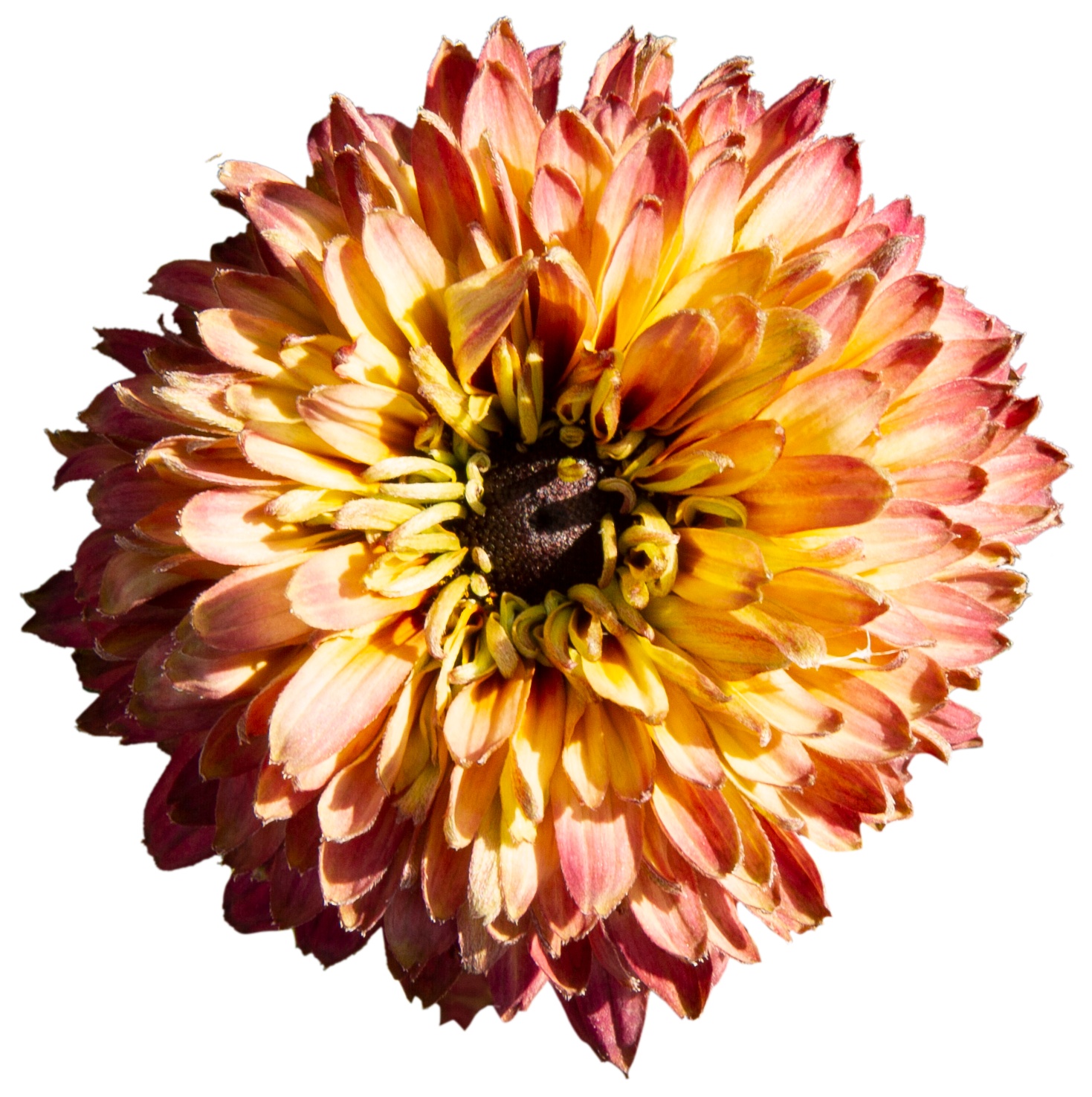 0c98a34769814973bb7fb6a23779f78f.jpg 2cf46eae0555f2832fbdeeac000f1f94