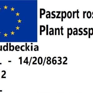 19e0b81f27e95e703c891c73e699ccb7