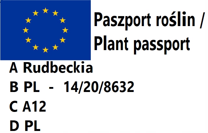 24b14d444474b9baf6e93140f9ea1981.jpg 19e0b81f27e95e703c891c73e699ccb7